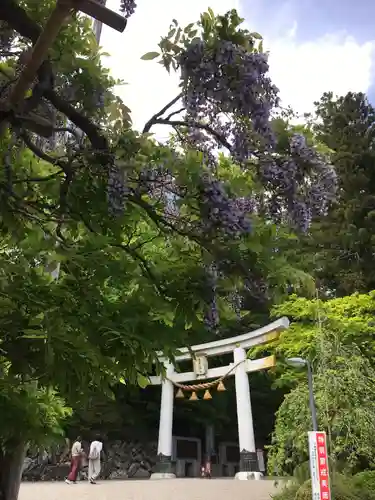 宝登山神社のその他建物