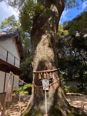生瀬皇太神社の自然