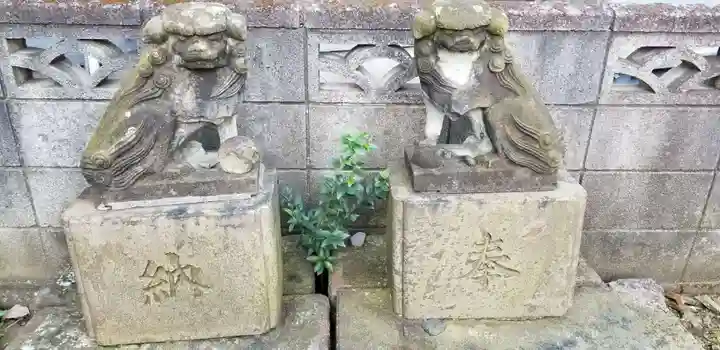 下新田稲荷神社の狛犬