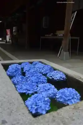 常磐神社(茨城県)