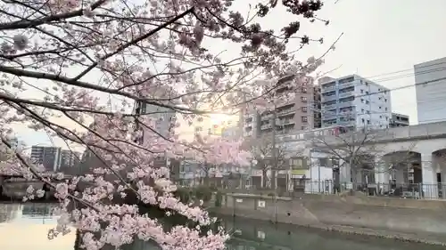 伊勢山皇大神宮の御朱印