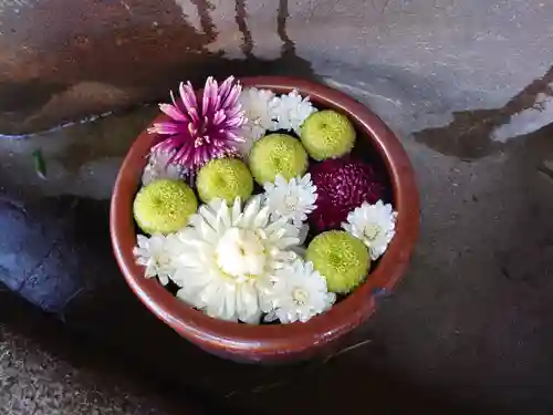 菅生神社の手水舎