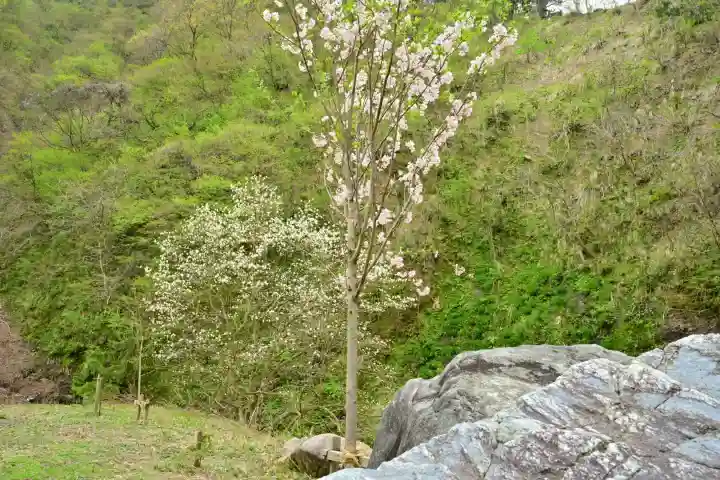 妙龍神社(新潟県)