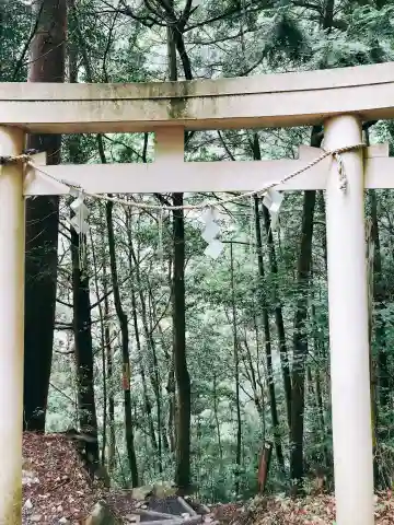 室生龍穴神社 奥宮の鳥居