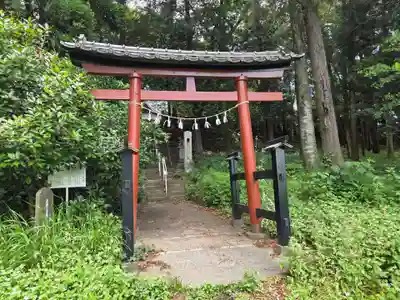 氷川神社の鳥居