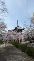 本法寺(京都府)