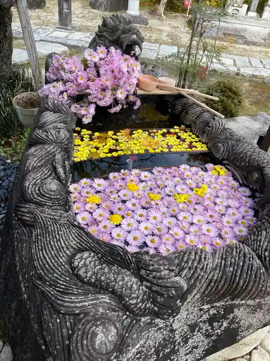 信濃比叡廣拯院の手水舎