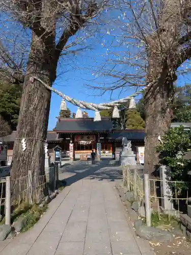 相模原氷川神社(神奈川県)