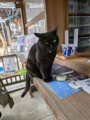 御嶽神社茅萱宮の動物