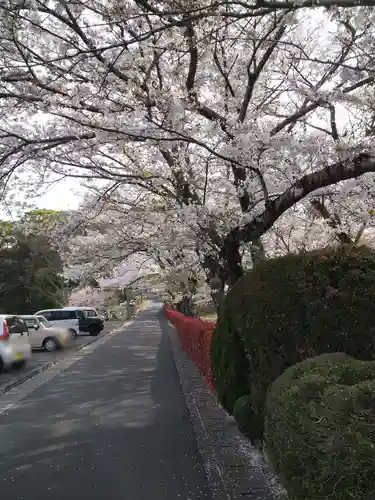 法輪寺の建物その他