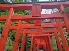 鎮西大社諏訪神社の鳥居