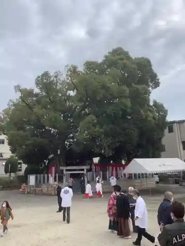 直会神社のお祭り