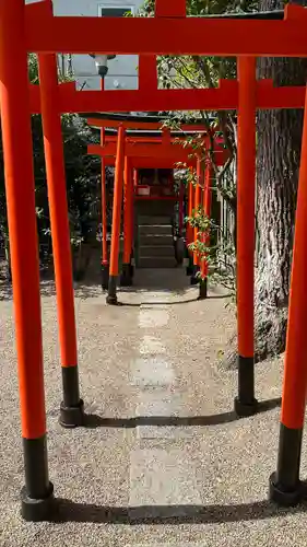 堀越神社(大阪府)