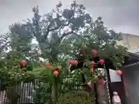 龍泉院(東京都)