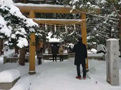 北海道神宮の初詣
