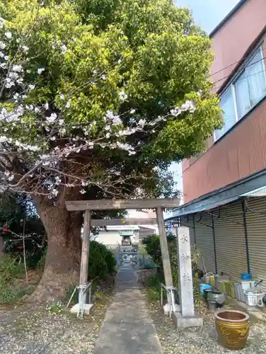 酒見神社の御朱印