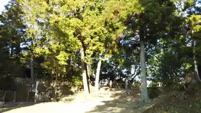 諏訪神社の自然