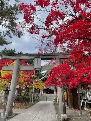 彌彦神社　(伊夜日子神社)の鳥居