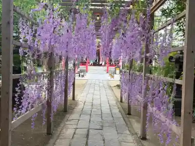 越谷香取神社(埼玉県)