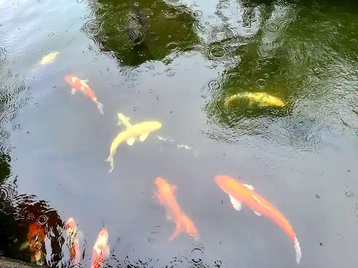 石母田 三吉神社の動物