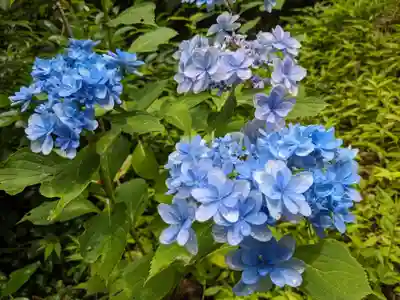 姫之宮奥宮(愛知県)