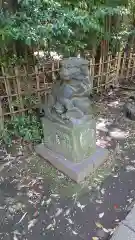 渋谷氷川神社の狛犬