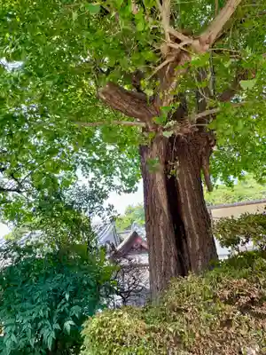 天徳院(神奈川県)
