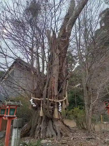 長等神社(滋賀県)
