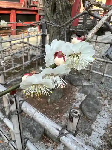 日吉神社の自然
