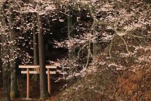 磯前神社の鳥居