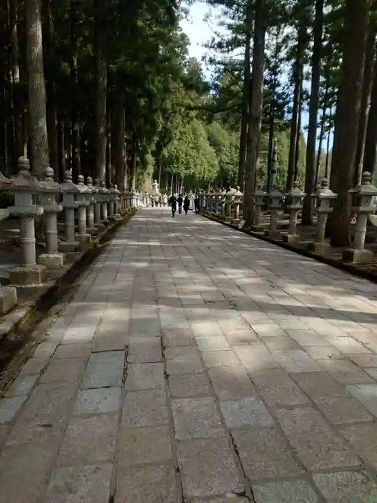 高野山金剛峯寺奥の院(和歌山県)