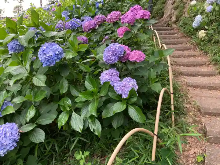 妙楽寺(神奈川県)