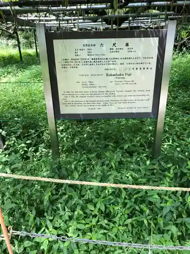 大澤山　龍藏寺のその他建物