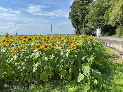 下野 星宮神社の周辺