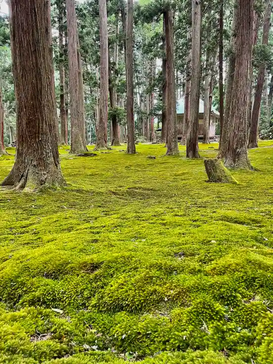 平泉寺白山神社の自然
