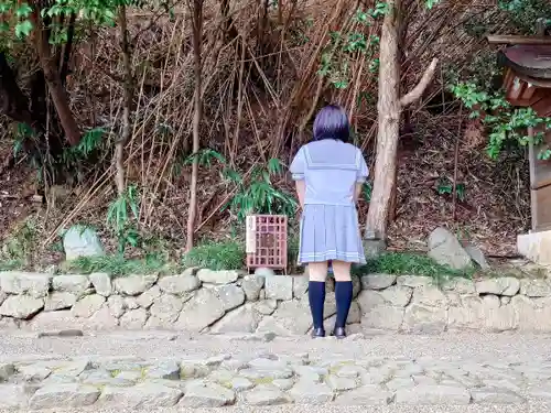 飛鳥坐神社の自然