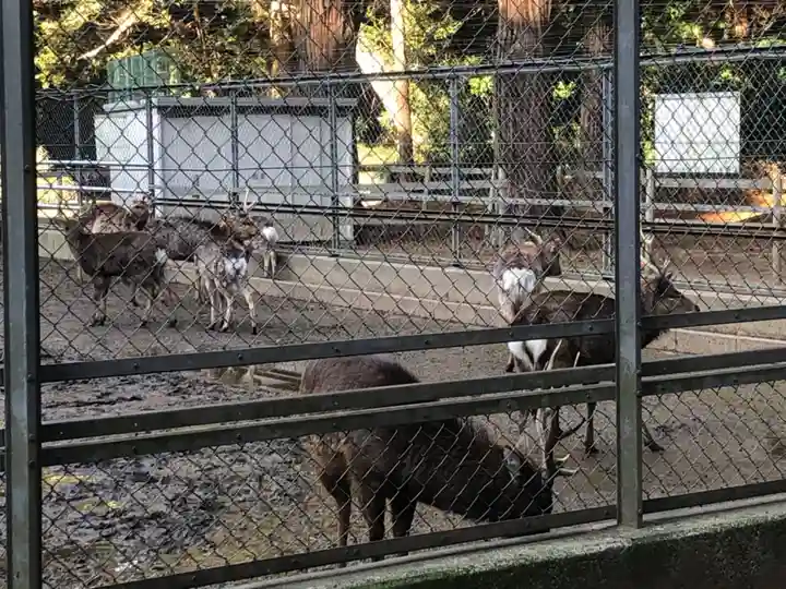 鹿島神宮(茨城県)