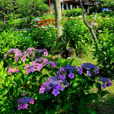 極楽寺(静岡県)