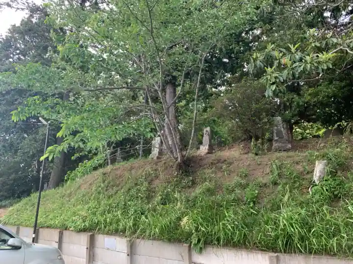 石合大師の自然