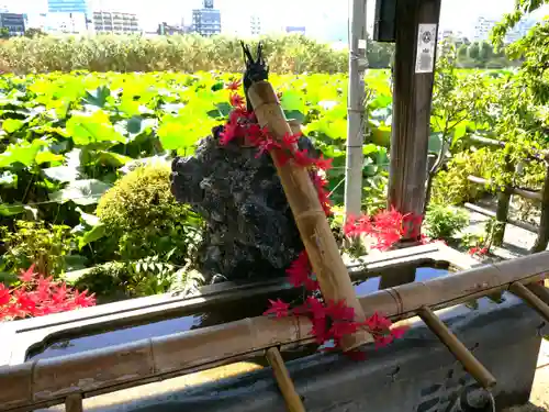 寛永寺不忍池弁天堂の手水