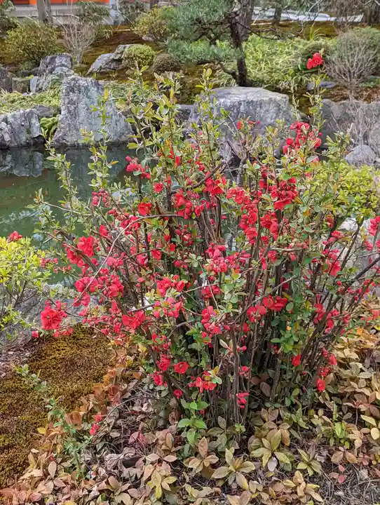 蓮華王院(三十三間堂)(京都府)