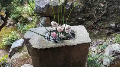 興聖寺(興聖寶林禅寺)(京都府)