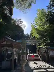 泉神社(茨城県)