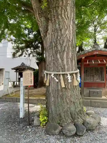 取手八坂神社(茨城県)