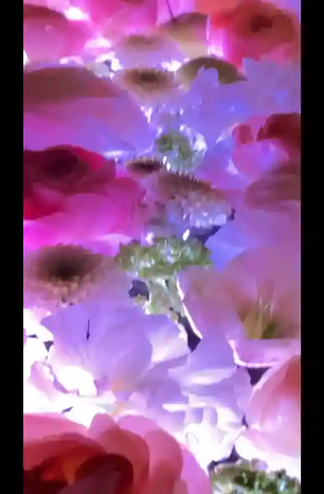 行田八幡神社の{uncategorized: "未分類", other: "その他", undefined: "問題あり", building: "その他建物", grave: "お墓", sacred_gate: "鳥居", guardian: "狛犬", statue: "像", buddha: "仏像", history: "歴史", nature: "自然", garden: "庭園", animal: "動物", pagoda: "塔", temizu: "手水舎", mountain_gate: "山門・神門", sanctuary: "本殿・本堂", subordinate: "末社・摂社", art: "芸術", scenery: "景色", jizo: "地蔵", ema: "絵馬", goshuin: "御朱印", omikuji: "おみくじ", items: "授与品その他", amulet: "お守り", goshuincho: "御朱印帳", eats: "食事", festival: "お祭り", votive_dance: "神楽", shichigosan: "七五三参", wedding: "結婚式", experience: "体験その他", initially: "初詣", around: "周辺", anti_infection: "感染症対策"}