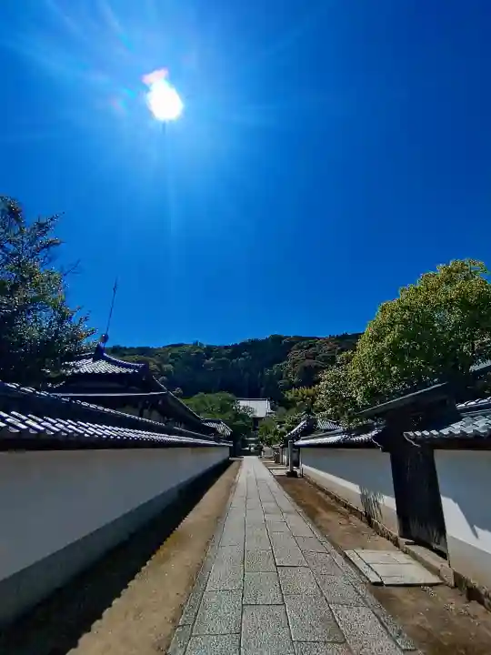 矢田寺の{uncategorized: "未分類", other: "その他", undefined: "問題あり", building: "その他建物", grave: "お墓", sacred_gate: "鳥居", guardian: "狛犬", statue: "像", buddha: "仏像", history: "歴史", nature: "自然", garden: "庭園", animal: "動物", pagoda: "塔", temizu: "手水舎", mountain_gate: "山門・神門", sanctuary: "本殿・本堂", subordinate: "末社・摂社", art: "芸術", scenery: "景色", jizo: "地蔵", ema: "絵馬", goshuin: "御朱印", omikuji: "おみくじ", items: "授与品その他", amulet: "お守り", goshuincho: "御朱印帳", eats: "食事", festival: "お祭り", votive_dance: "神楽", shichigosan: "七五三参", wedding: "結婚式", experience: "体験その他", initially: "初詣", around: "周辺", anti_infection: "感染症対策"}