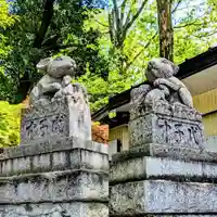 調神社の狛犬