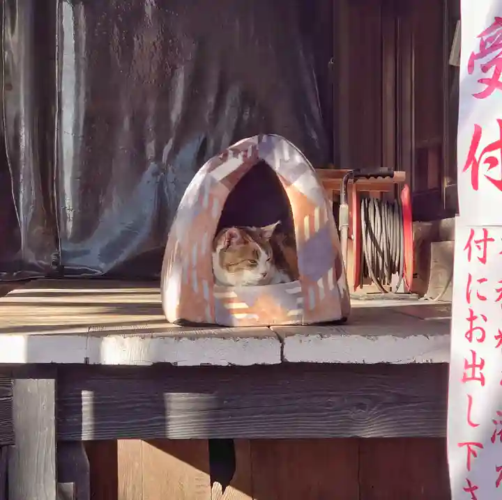 賀茂別雷神社(栃木県)