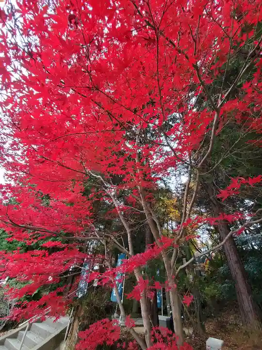 滑川神社 - 仕事と子どもの守り神の自然