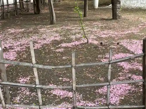 発寒神社の自然